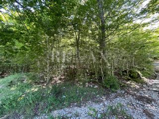 Bribir - terreno edificabile in un'area forestale