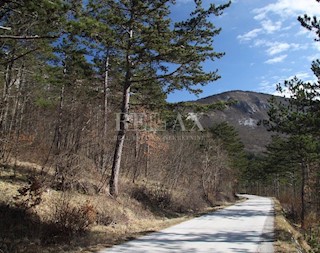 Terreno Brest Pod Učkom, Lupoglav, 200.000m2