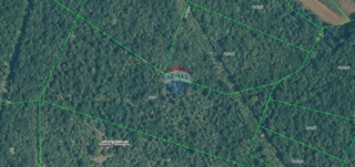 Terreno non edificabile Rovinj, 40.916m2