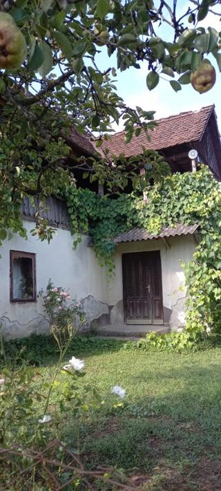 Casa Bukevje, Orle, 65m2