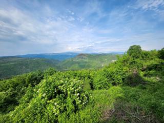 Terreno non edificabile Sovinjak, Buzet, 256.885m2