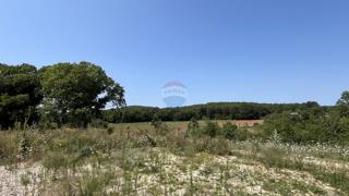 Terreno edificabile Vrsar, 517m2