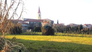 Terreno edificabile Brtonigla, 822m2