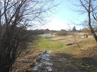 Terreno non edificabile Lindar, Pazin - Okolica, 34.477m2