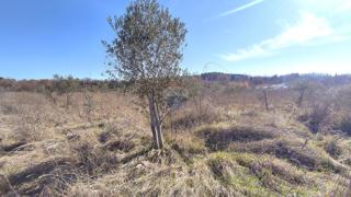 Terreno non edificabile Baderna, Poreč, 14,18m2