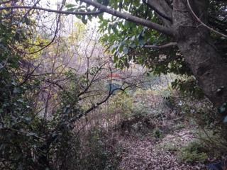 Terreno edificabile Trinajstići, Kastav, 870m2