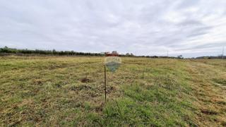 Novigrad, terreno non edificabile, 708 m²