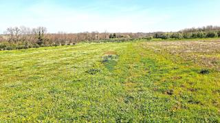 Terreno non edificabile Brtonigla, 3.793m2