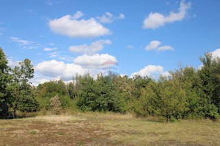 Terreno non edificabile Sveti Lovreč, 12.796m2