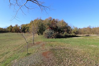 Terreno edificabile Štuti, Višnjan, 6.850m2