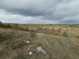 Terreno non edificabile Žagrići, Žminj, 24.839m2