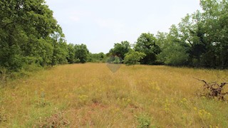 Istria, dintorni di Grisignana, terreno edificabile, 1.186m2