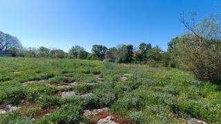 Terreno edificabile Bale, 857m2