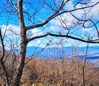 Terreno non edificabile Hreljin, Bakar, 20.000m2