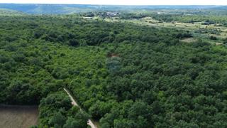ISTRIA, LIMSKI KANAL – Terreno agricolo lottizzato 14.362 m² – 12 particelle