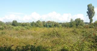 Terreno non edificabile Lovrečica, Umag, 3.156m2