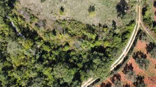 Terreno non edificabile Rovinjsko Selo, Rovinj, 1.000m2