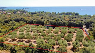 Terreno non edificabile Rovinj, 3.223m2