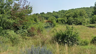 Terreno non edificabile Škropeti, Karojba, 17.562m2