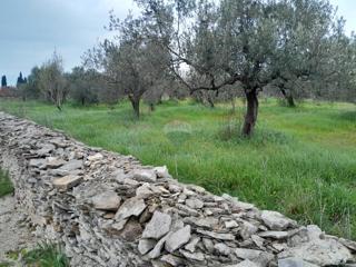 Terreno non edificabile Vodnjan, 3.288m2