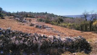 Terreno non edificabile Trget, Raša, 6.101m2
