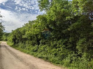 Terreno non edificabile Rovinjsko Selo, Rovinj, 10.200m2