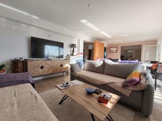 Casa Donja Drenova, Sveti Ivan Zelina, 580m2