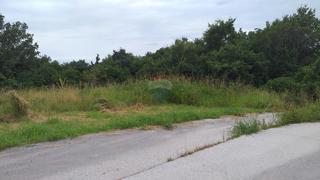 Terreno edificabile Buje, 2.265m2