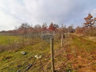 Terreno non edificabile Dračevac, Poreč, 17.415m2