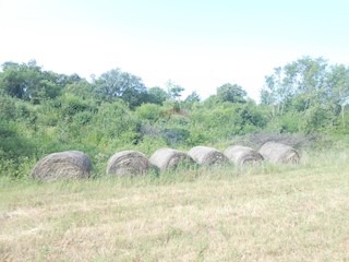 Terreno non edificabile Peruški, Marčana, 11.406m2