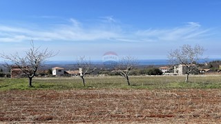 Terreno edificabile Kaštelir, Kaštelir-Labinci, 1.219m2