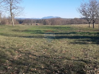 Terreno edificabile Beram, Pazin - Okolica, 1.975m2