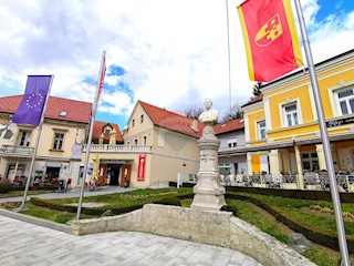 Villa Singola/Casa Vacanza Centar, Krapina, 393m2