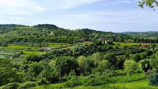 Istria, Oprtalj – Casa in pietra da ristrutturare