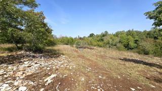 Terreno non edificabile Kršete, Buje, 16.170m2