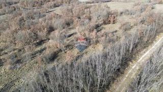 Terreno non edificabile Baderna, Poreč, 27.086m2