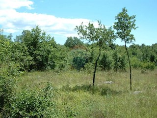 Terreno edificabile Kloštar, Sveti Lovreč, 2.206m2