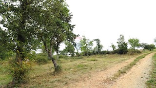 Terreno edificabile Sveti Lovreč, 588m2