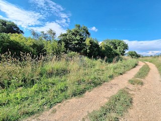 Terreno non edificabile Šišan, Ližnjan, 7.355m2