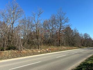 Terreno non edificabile Šušnjići, Poreč, 17.353m2
