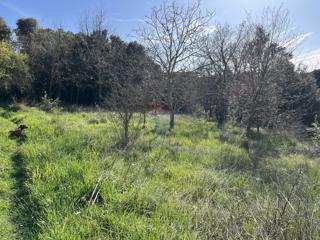 Terreno edificabile okolica Pule, Pula, 2.586m2
