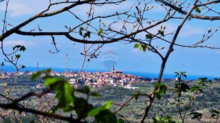 Terreno edificabile Krasica, Buje, 898m2