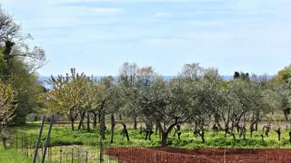 Terreno edificabile Umag, 400m2