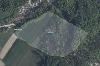 Terreno non edificabile Trviž, Pazin - Okolica, 36.921m2
