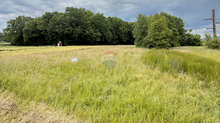 Terreno edificabile Kalinovica, Sveta Nedelja, 4.988m2