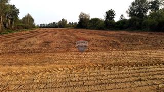 Terreno edificabile Lupoglav, Brckovljani, 11.434m2