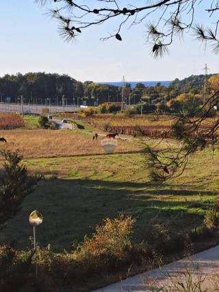 Terreno non edificabile Mugeba, Poreč, 1.290m2