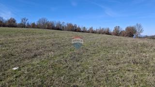 Terreno non edificabile Momjan, Buje, 28.978m2