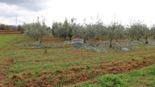 Terreno non edificabile Poreč, 10.200m2