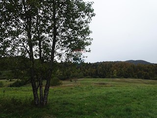 Casa Begovo Razdolje, Mrkopalj, 200m2